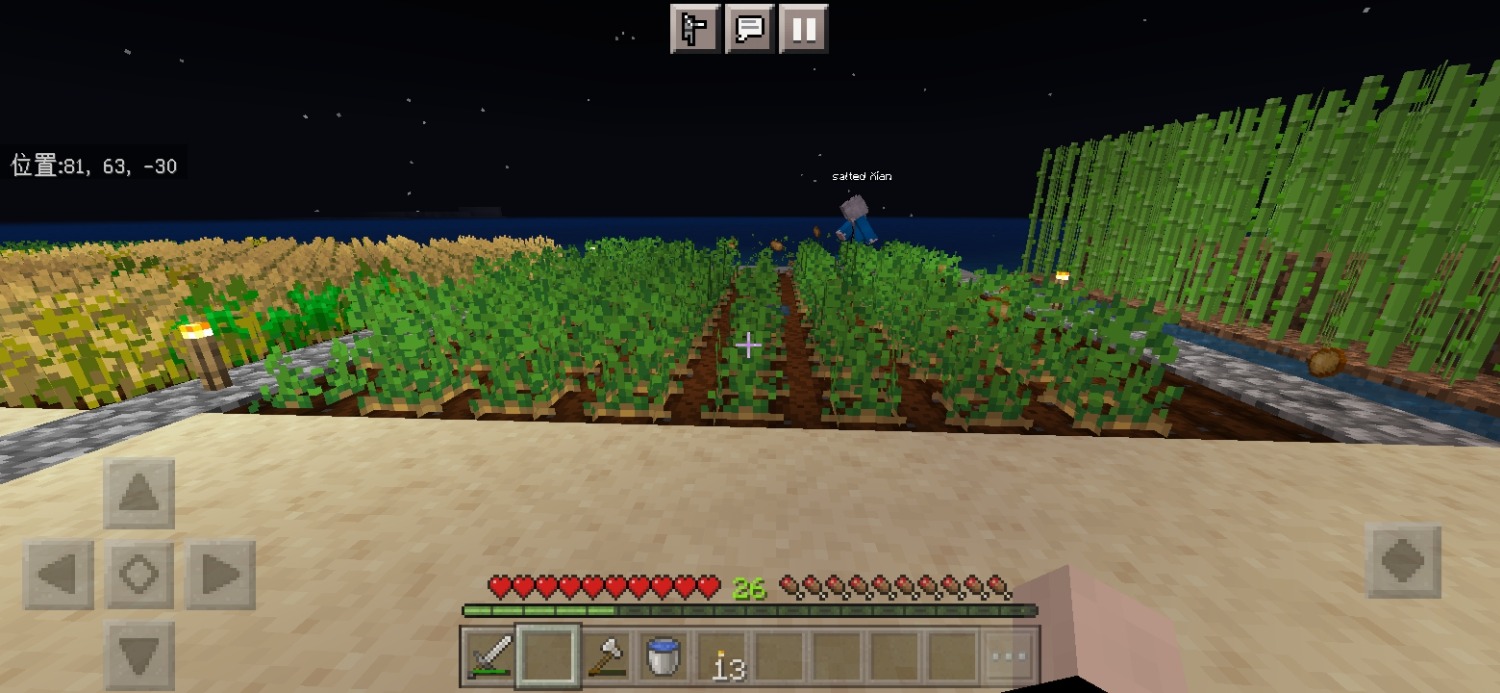 Screenshot_20240621_193616_com.mojang.minecraftpe.jpg