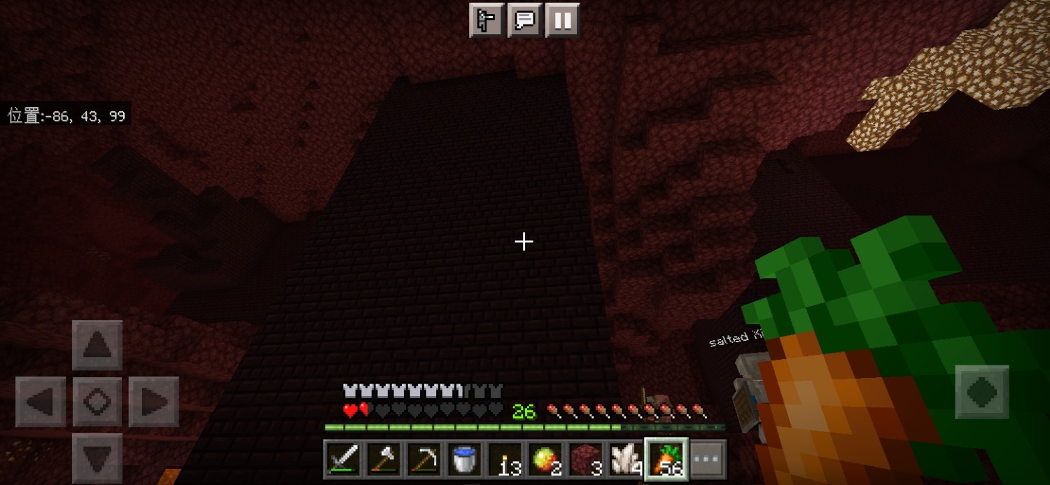 Screenshot_20240621_195707_com.mojang.minecraftpe.jpg