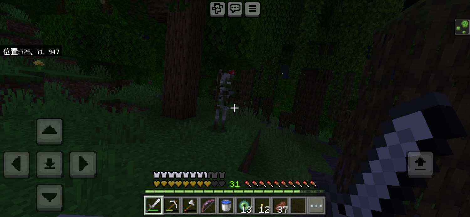 Screenshot_20240721_204522_com.mojang.minecraftpe.jpg