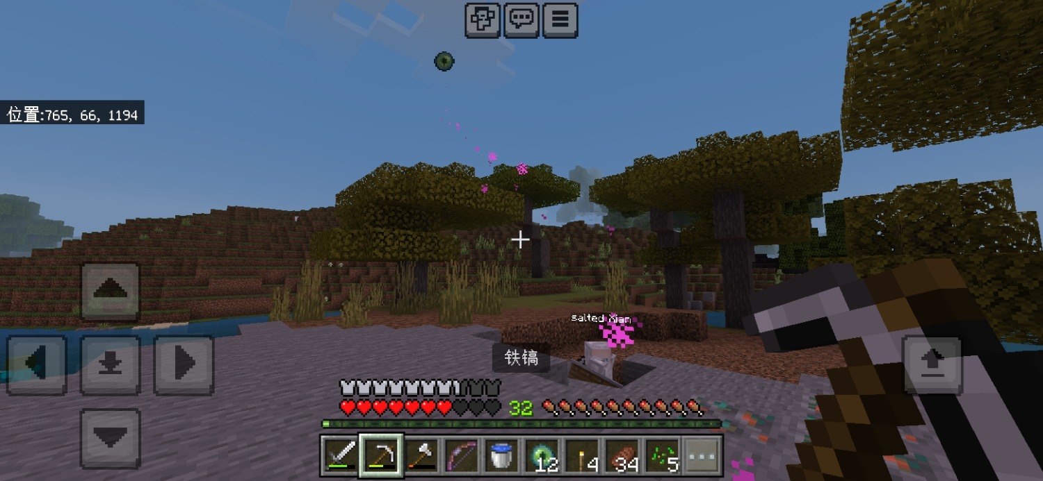 Screenshot_20240721_204954_com.mojang.minecraftpe.jpg