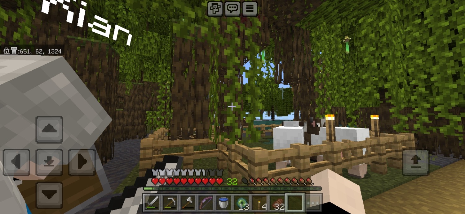 Screenshot_20240721_205618_com.mojang.minecraftpe.jpg